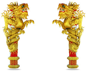 Chinese style dragon on white background