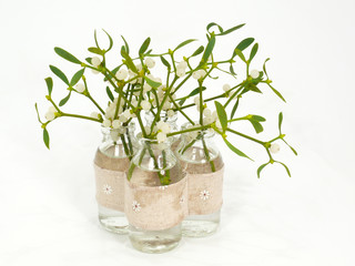 Mistelzeige in der Vase