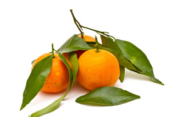 Ripe tangerines on white background