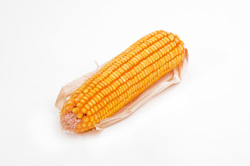 Corn ear
