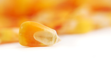 Fototapeta na wymiar Corn kernels