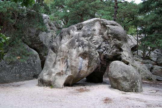 L' elephant de Larchant