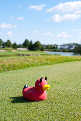 red golf-duck