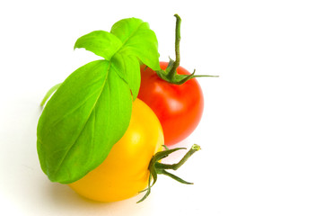 Tomaten