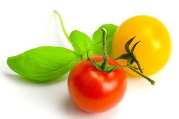 Tomaten