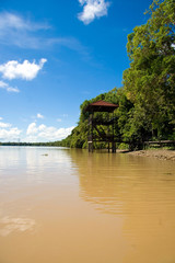 Fototapeta na wymiar Kinabatangan River Borneo
