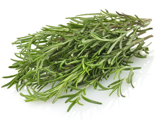 Rosemary Herb