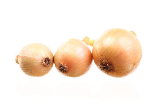 onions isolated