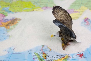 Ein Adler auf Malaysia