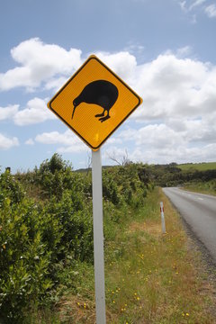 Attention kiwis