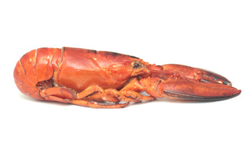 homard