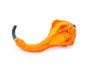 Unusually shaped fruit of an autumn squash isolated on white