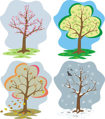 four season - trees during the seasons of the year