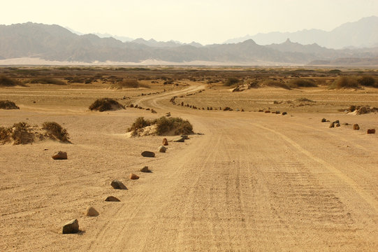 Curvy unimproved road going through the desert