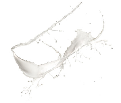 High resolution milk splash, isolated on white background
