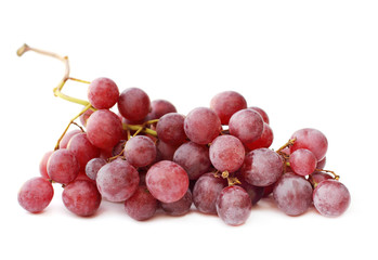 Red grape vine on white