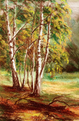 Picture, autumn forest