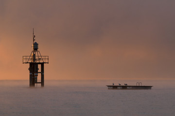 Morgens am Hörnle