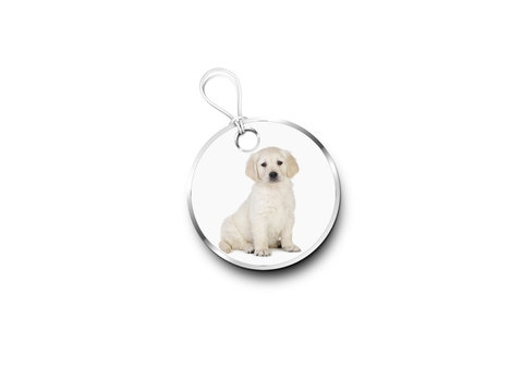 Silver Tag With A Picture Of A Puppy