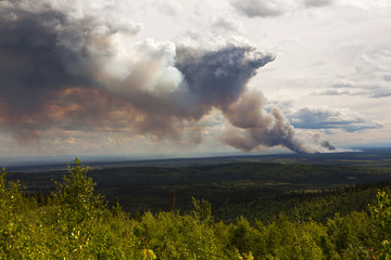 Waldbrand in Alaska