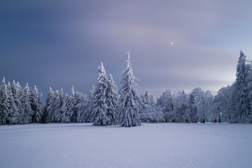 Winterzauber