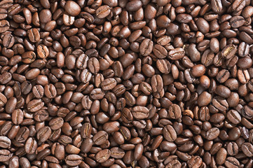 coffee beans background