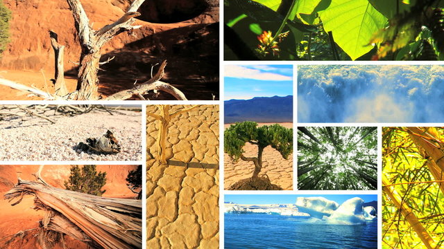 Montage Images of Green Vegetation & Barren Environments