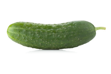 Fresh cucumber vegetable