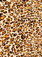 Leopard spots