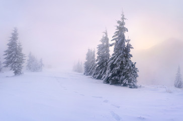Beautiful winter landscape in the mountains. Sunrise