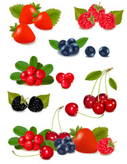 Big group of fresh berries. Photo-realistic vector