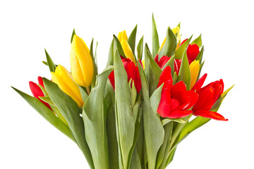 red and yellow tulip flowers