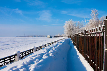 Winter  scenery