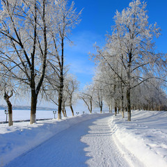 Winter  scenery