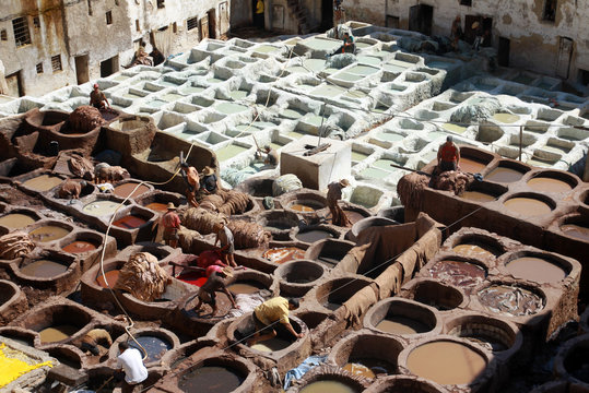 Leather tanning in Fes, Morocco