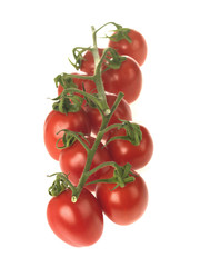 Vine Tomatoes