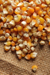 maize