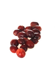 Fresh Cranberries