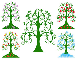 Four Seasonal tree