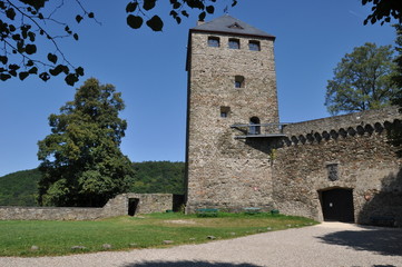 Fototapeta na wymiar Alte Burgruine bei Schloss Sayn