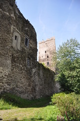 Grenzau Burg