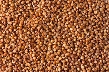 Dry Buckwheat seeds