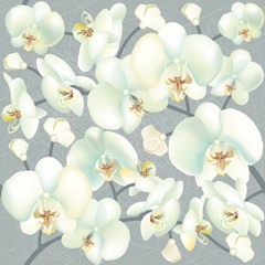 Orchid seamless texture