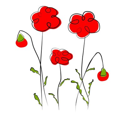 Flowers - red poppy