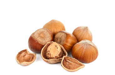 hazelnuts isolated