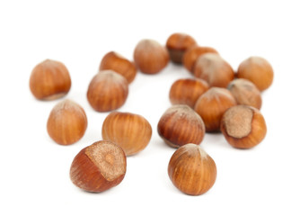 hazelnuts isolated