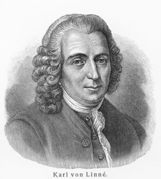 Carl Linnaeus