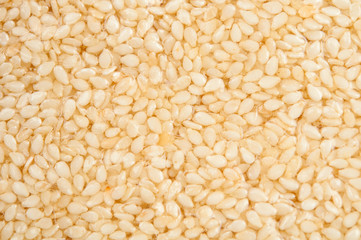 Honey bars with sesame