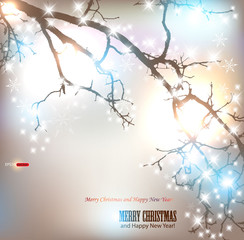 Elegant nature background with place for text. Winter tree with