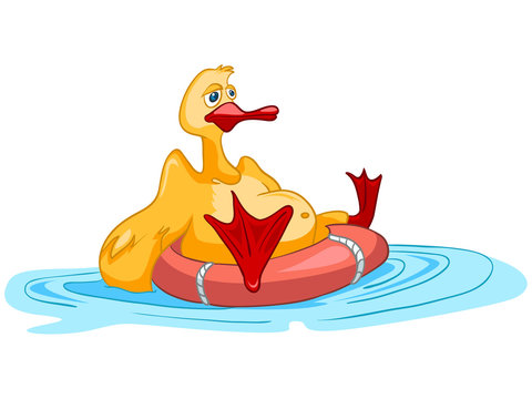 Cartoon Character Duck